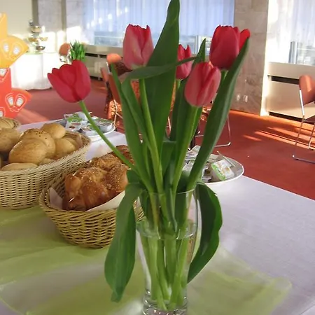 Centrum מלון לודז'